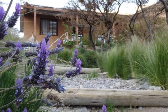 Descansa Indómito Elqui (6)