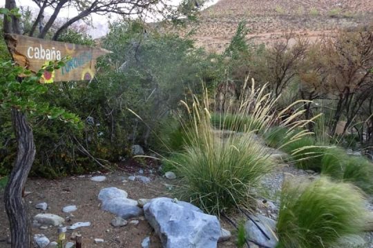 Descansa Indómito Elqui (7)