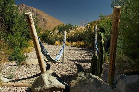 Indómito Elqui (12)