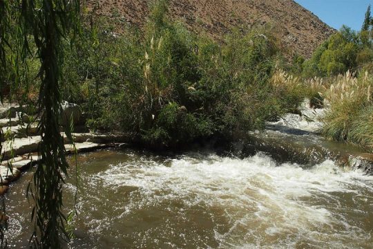 Indómito Elqui (15)