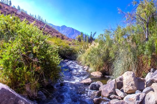 Indómito Elqui (16)
