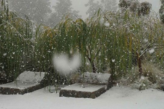 Indómito Elqui (22)