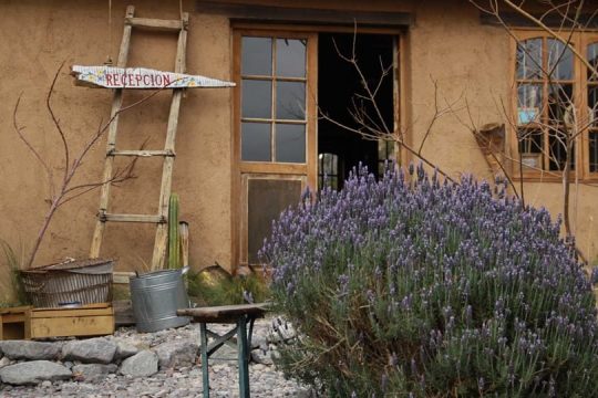 Indómito Elqui (23)